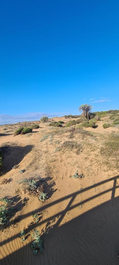 Appartement Guardamar Del Segura El Moncayo Dış mekan fotoğraf
